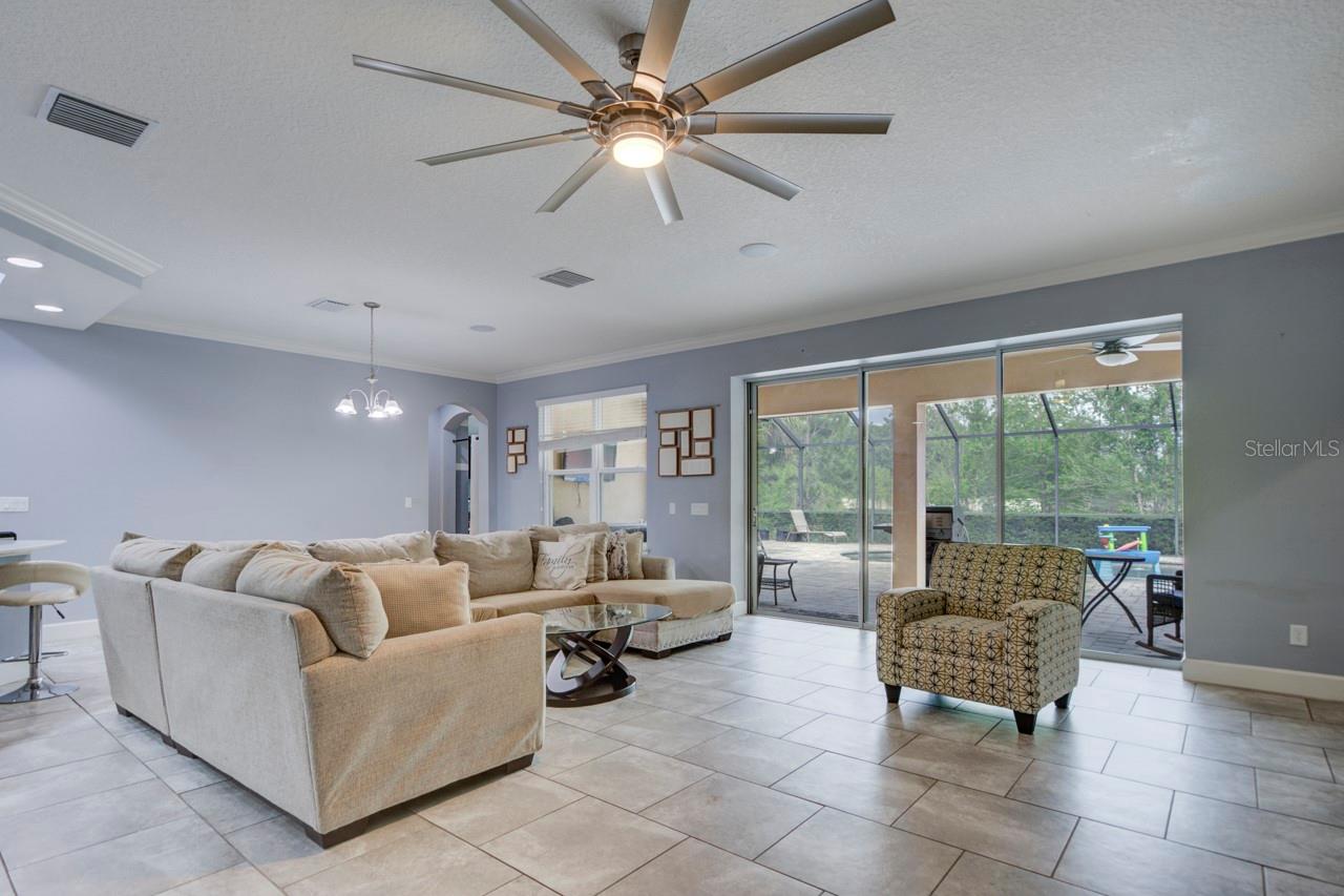 3603 ARBOR CHASE DR, PALM HARBOR, FL, 34683