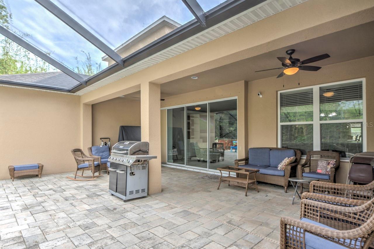 3603 ARBOR CHASE DR, PALM HARBOR, FL, 34683