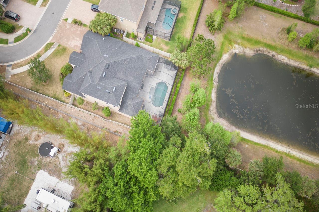 3603 ARBOR CHASE DR, PALM HARBOR, FL, 34683