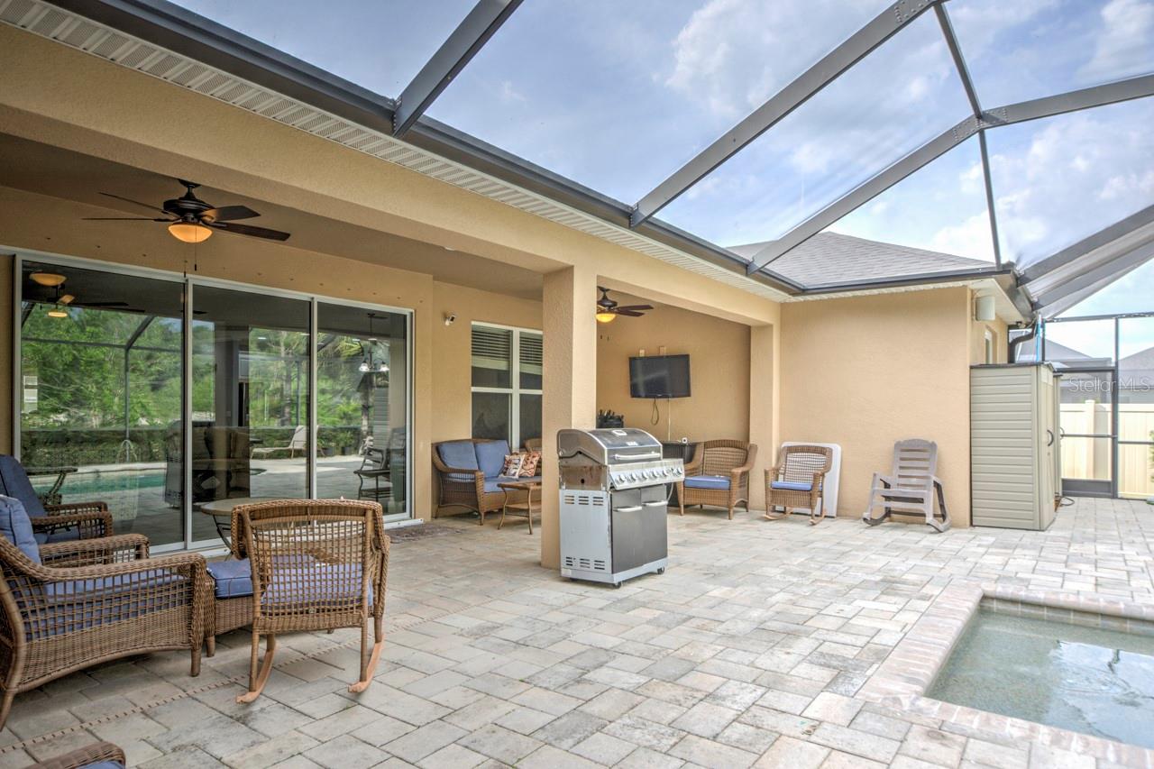 3603 ARBOR CHASE DR, PALM HARBOR, FL, 34683