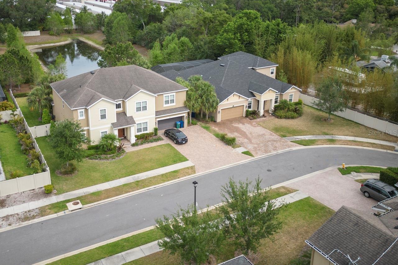 3603 ARBOR CHASE DR, PALM HARBOR, FL, 34683