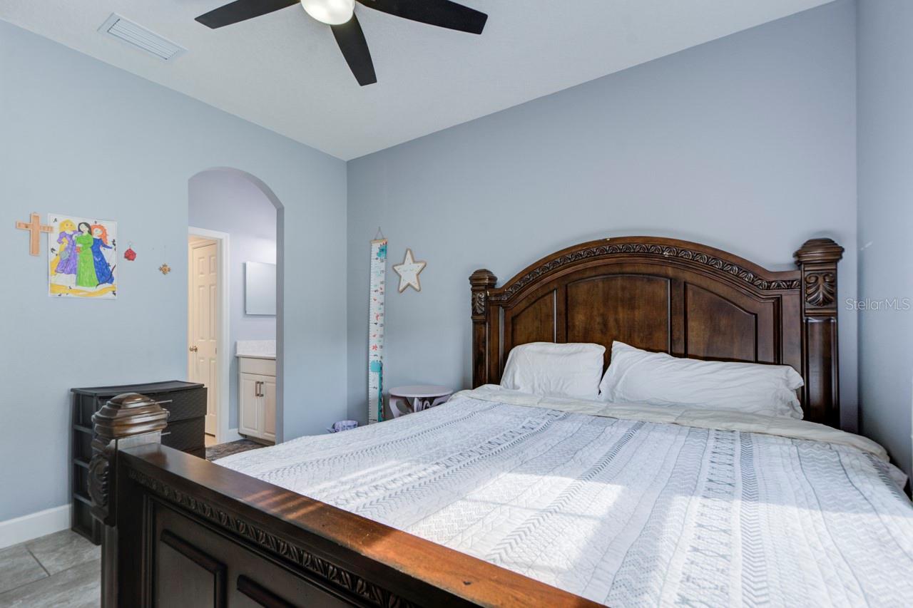 3603 ARBOR CHASE DR, PALM HARBOR, FL, 34683