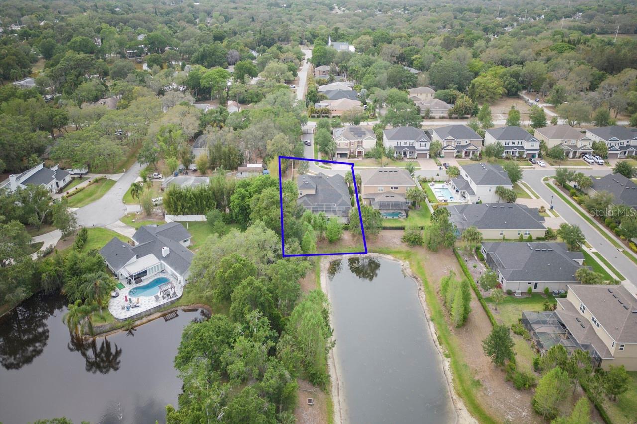 3603 ARBOR CHASE DR, PALM HARBOR, FL, 34683