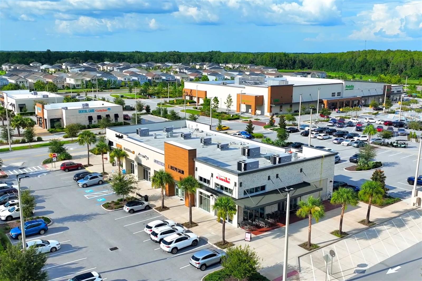 3833 VILLAMORE LN, ODESSA, FL, 33556