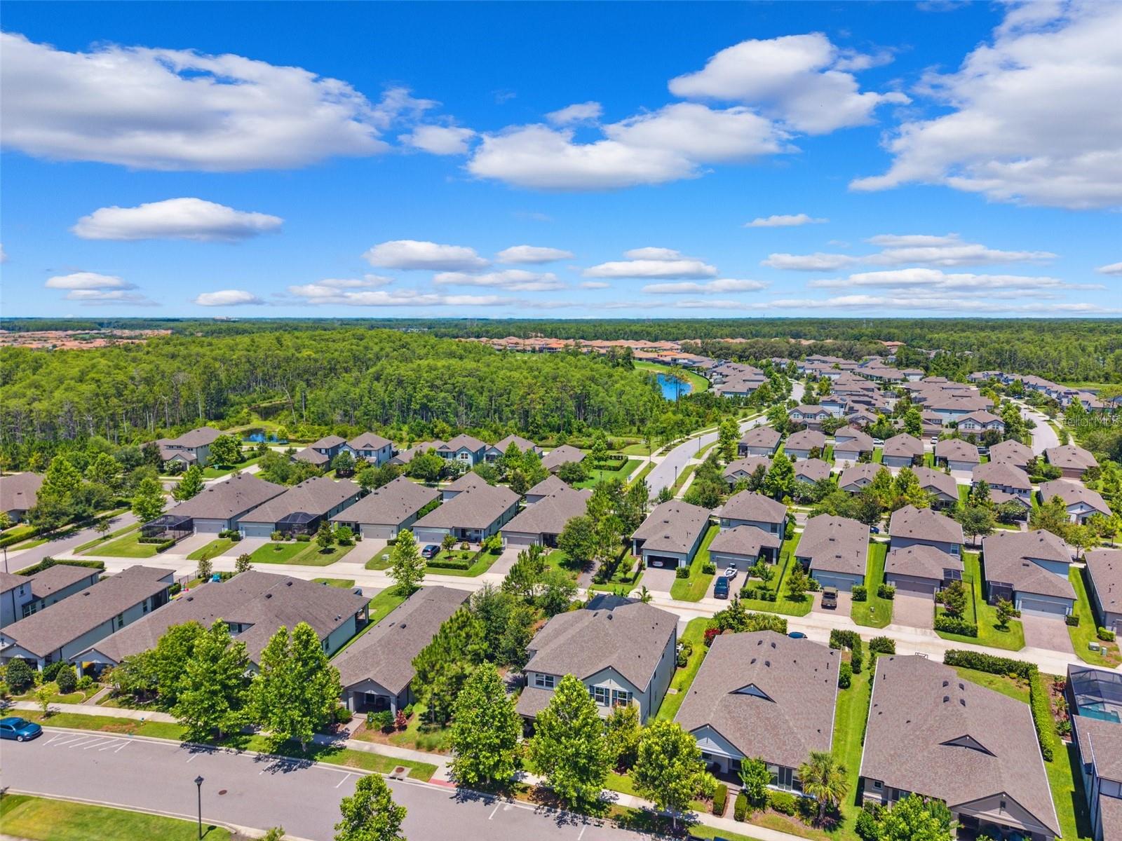 3833 VILLAMORE LN, ODESSA, FL, 33556