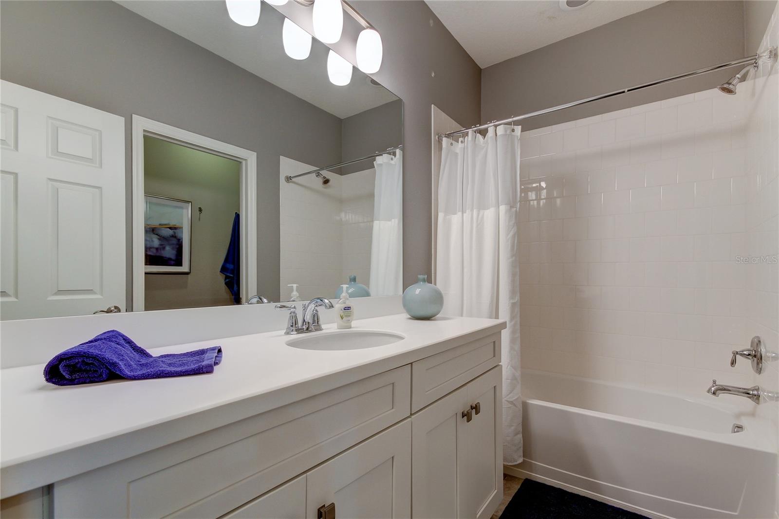 8750 TERRACINA LAKE DR, TAMPA, FL, 33625