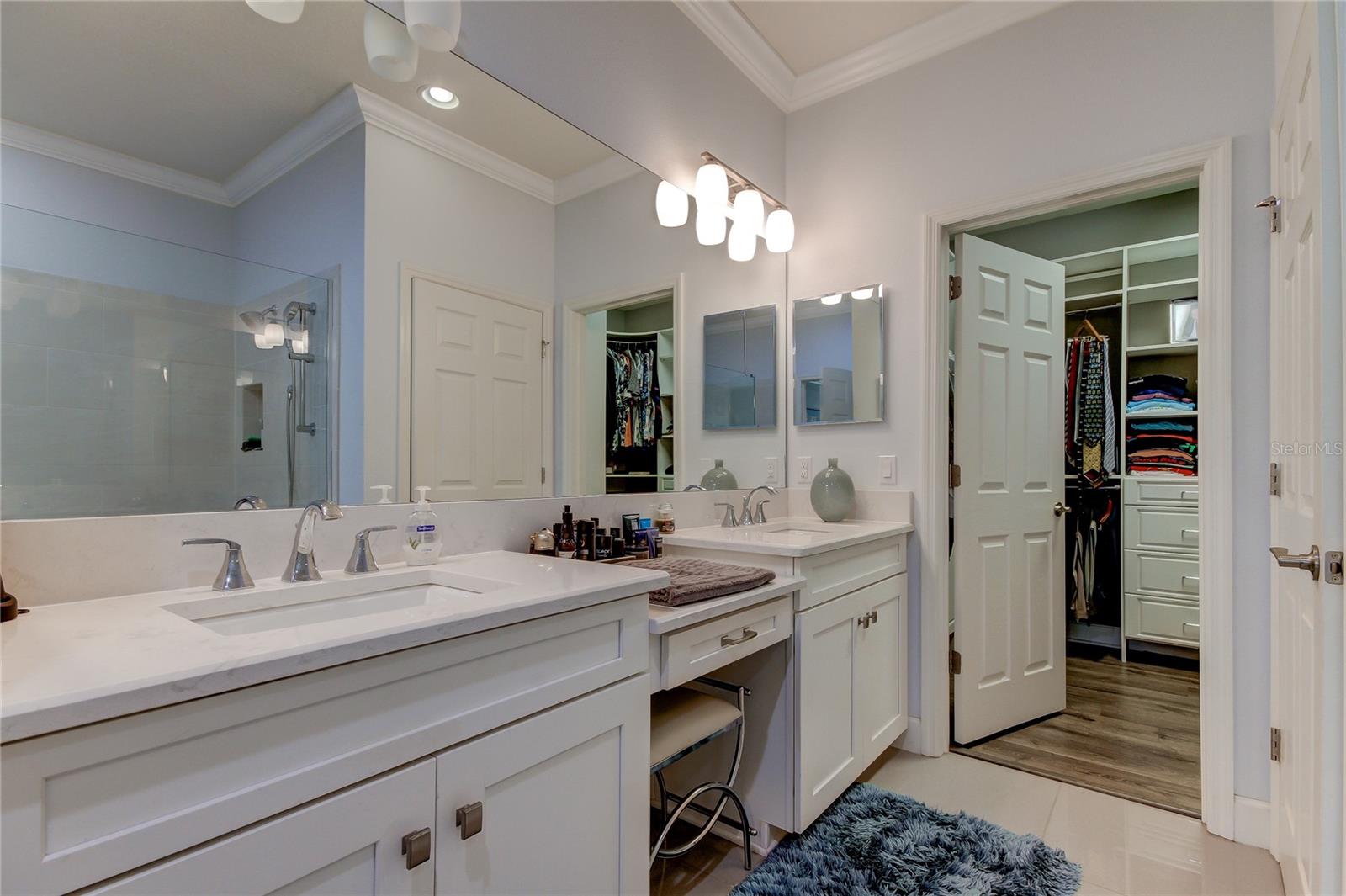 8750 TERRACINA LAKE DR, TAMPA, FL, 33625