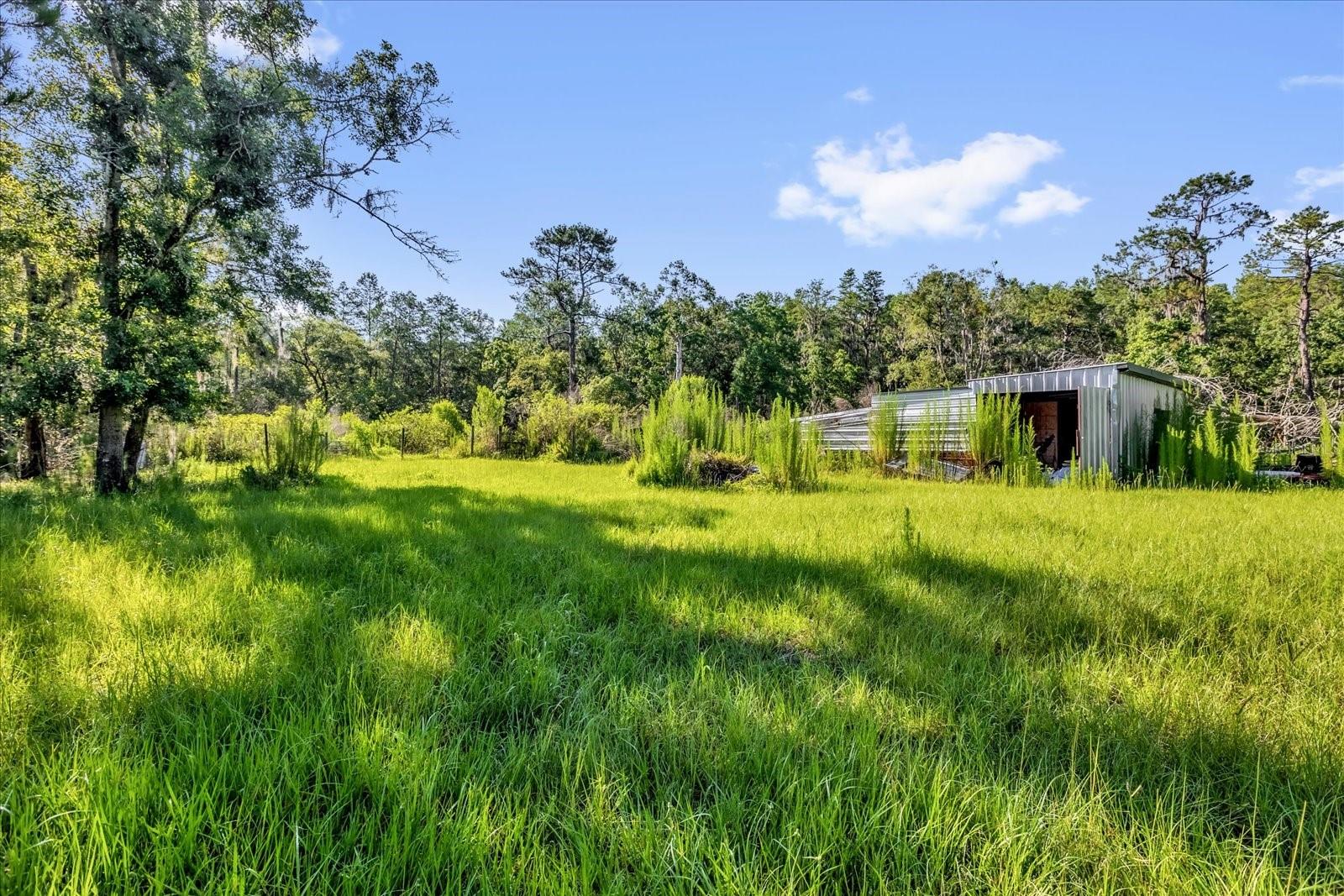 36424 COUNTY ROAD 439, EUSTIS, FL, 32736