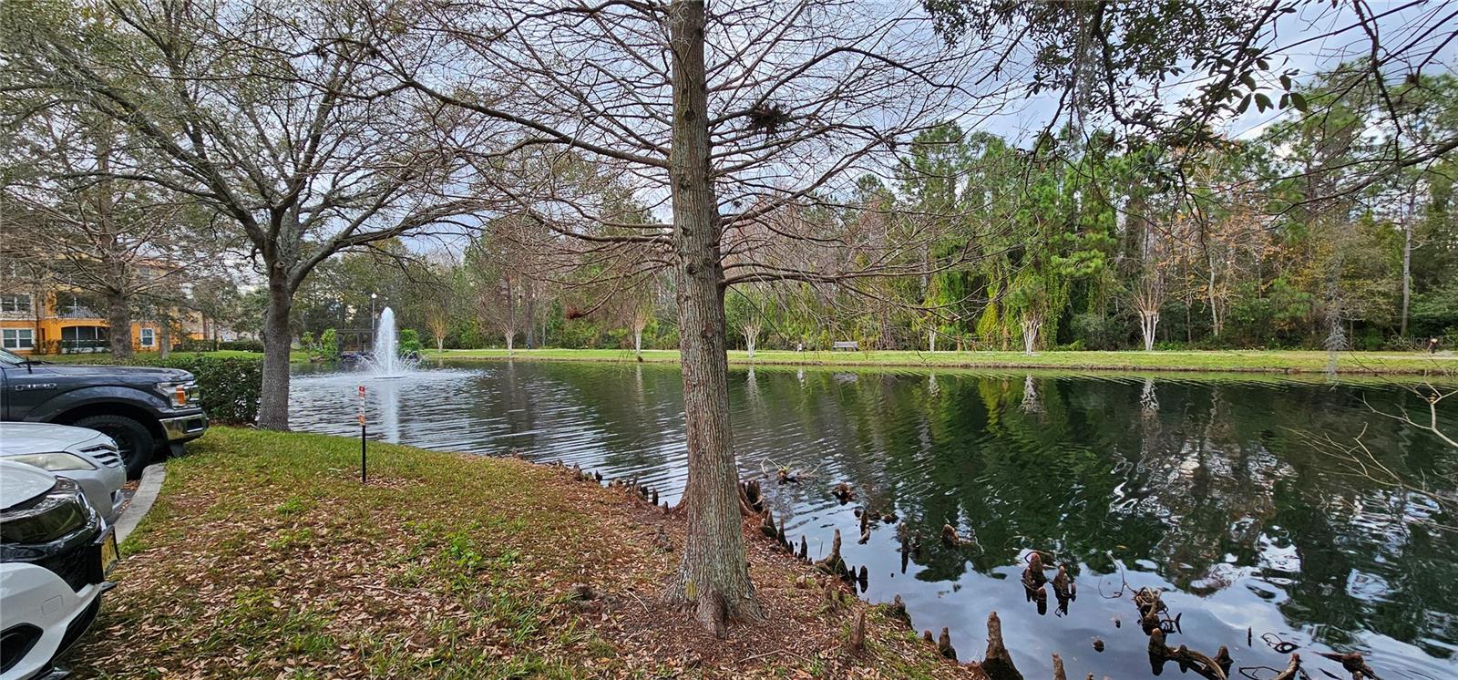 5463 VINELAND RD #5309, ORLANDO, FL, 32811