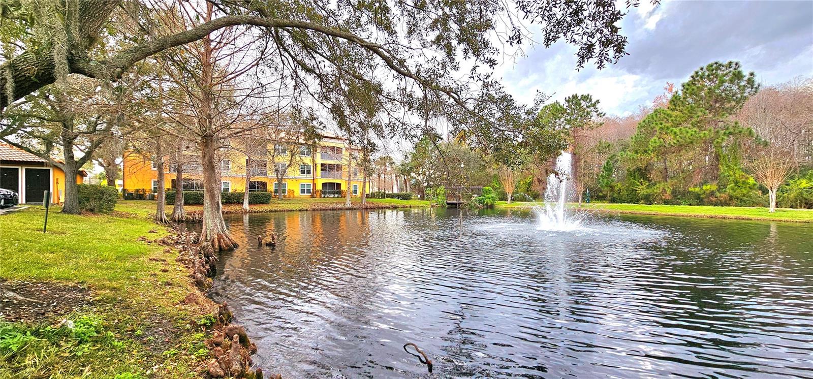 5463 VINELAND RD #5309, ORLANDO, FL, 32811