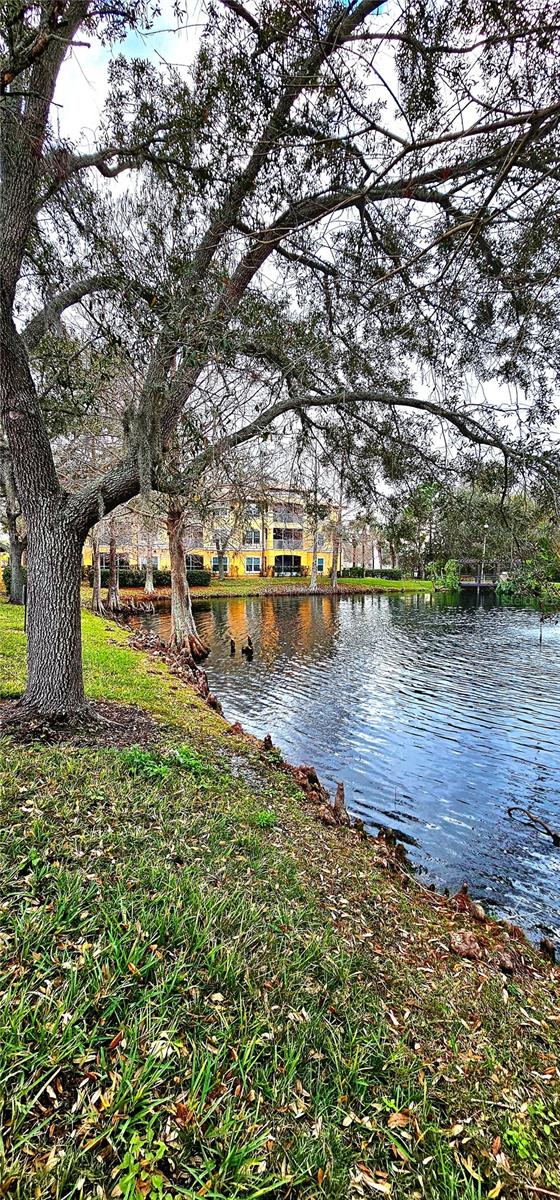 5463 VINELAND RD #5309, ORLANDO, FL, 32811