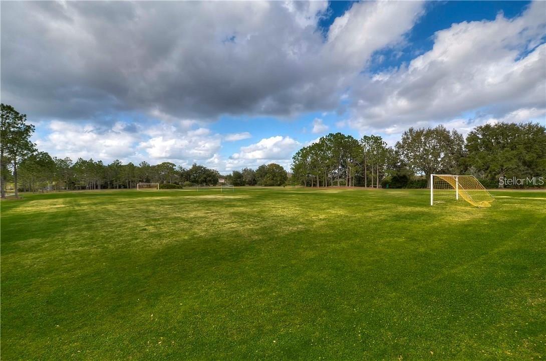 9481 HIGHLAND OAK DR #914, TAMPA, FL, 33647