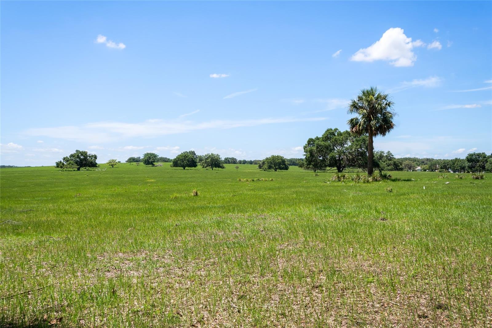 21144 ROYAL ST GEORGES LN, LEESBURG, FL, 34748