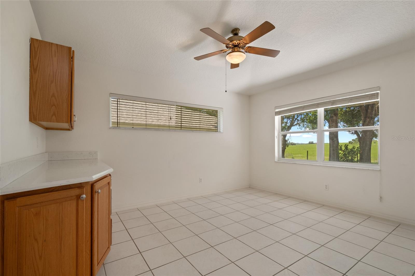 21144 ROYAL ST GEORGES LN, LEESBURG, FL, 34748