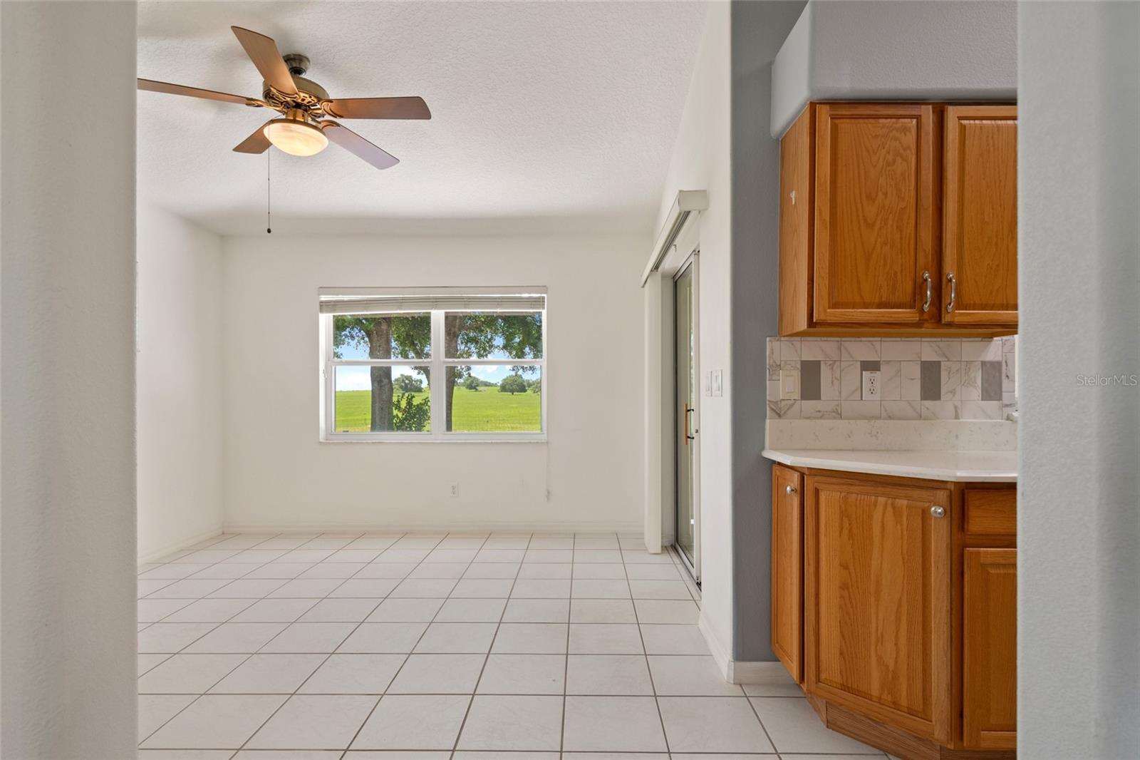 21144 ROYAL ST GEORGES LN, LEESBURG, FL, 34748