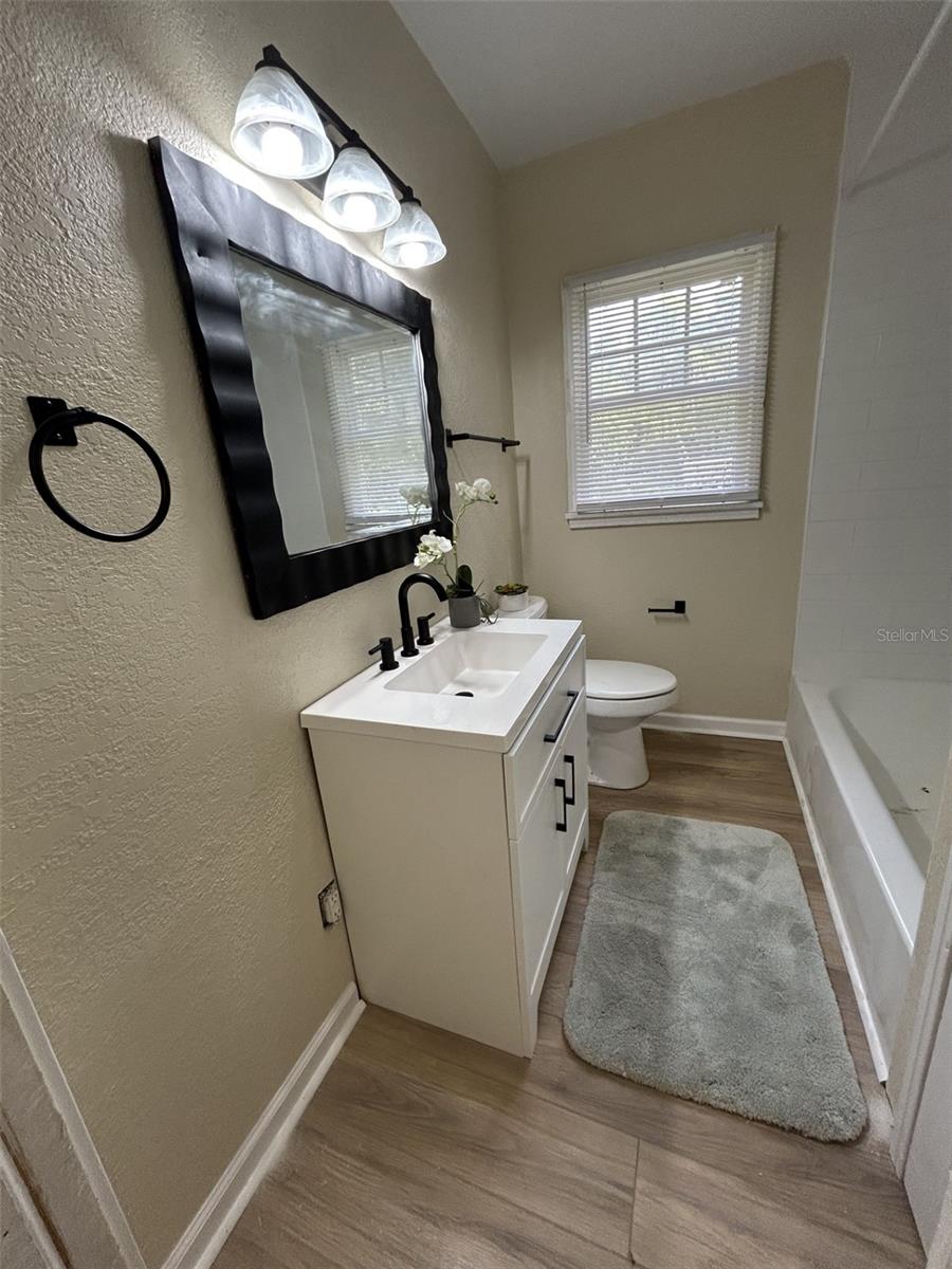 17024 COUNTY ROAD 450A, UMATILLA, FL, 32784