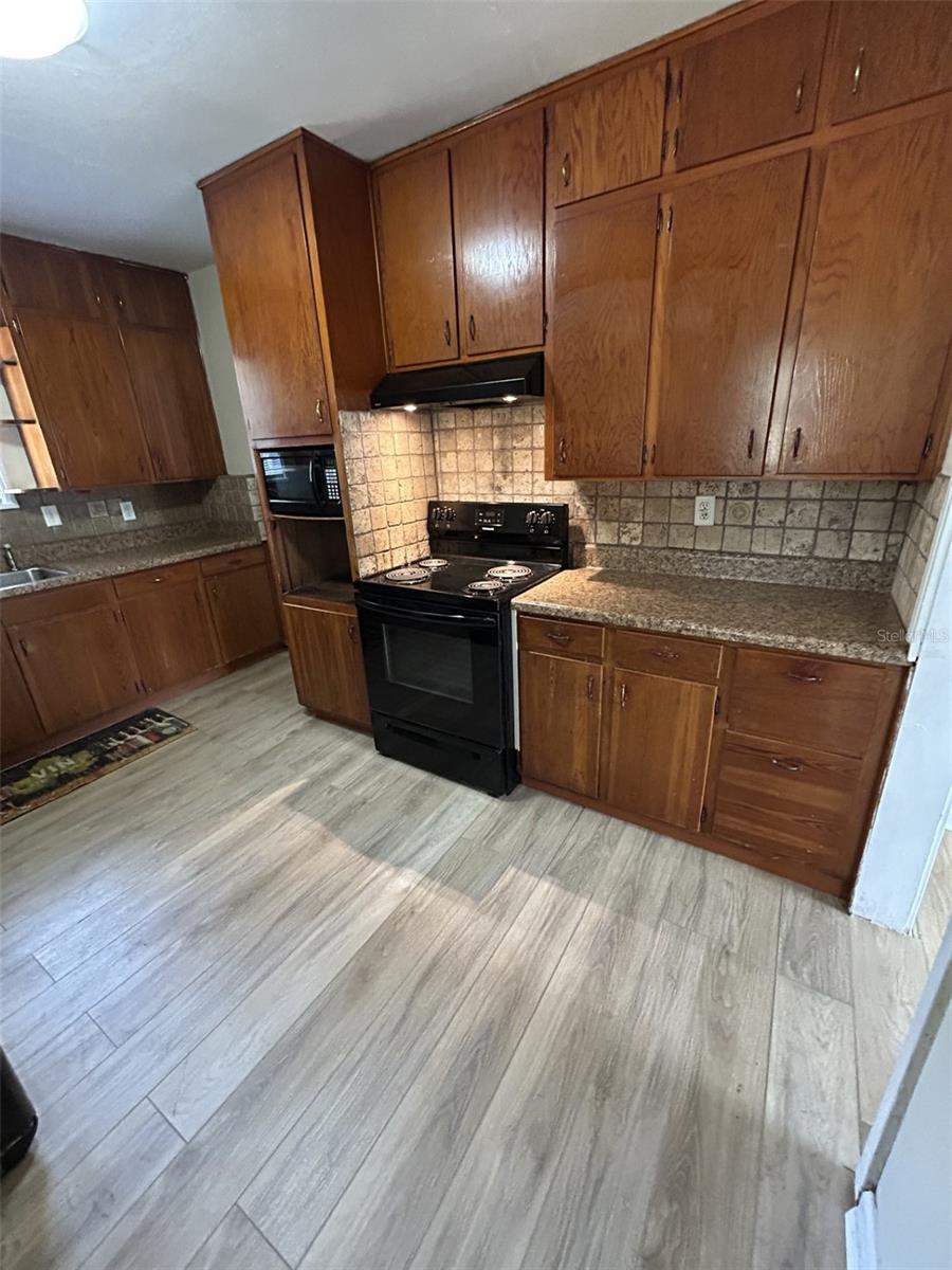 17024 COUNTY ROAD 450A, UMATILLA, FL, 32784