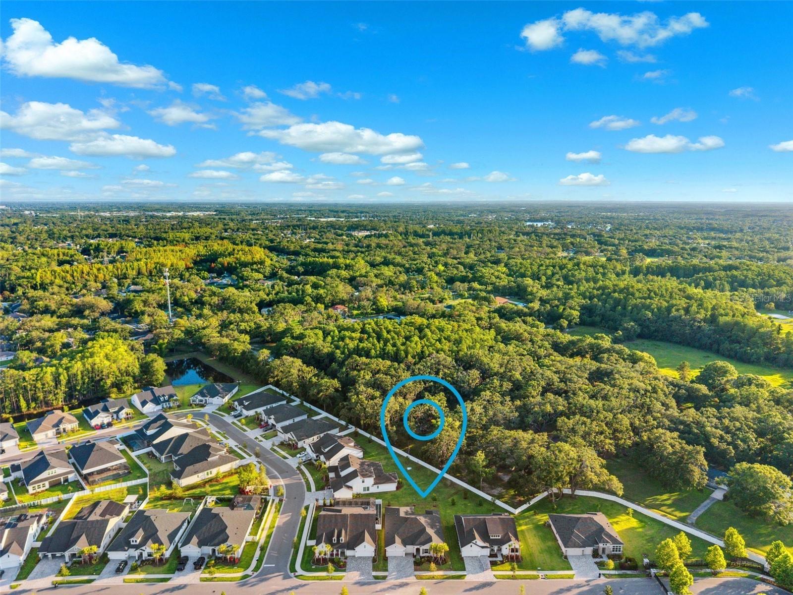 6035 NIKKI LN, ODESSA, FL, 33556