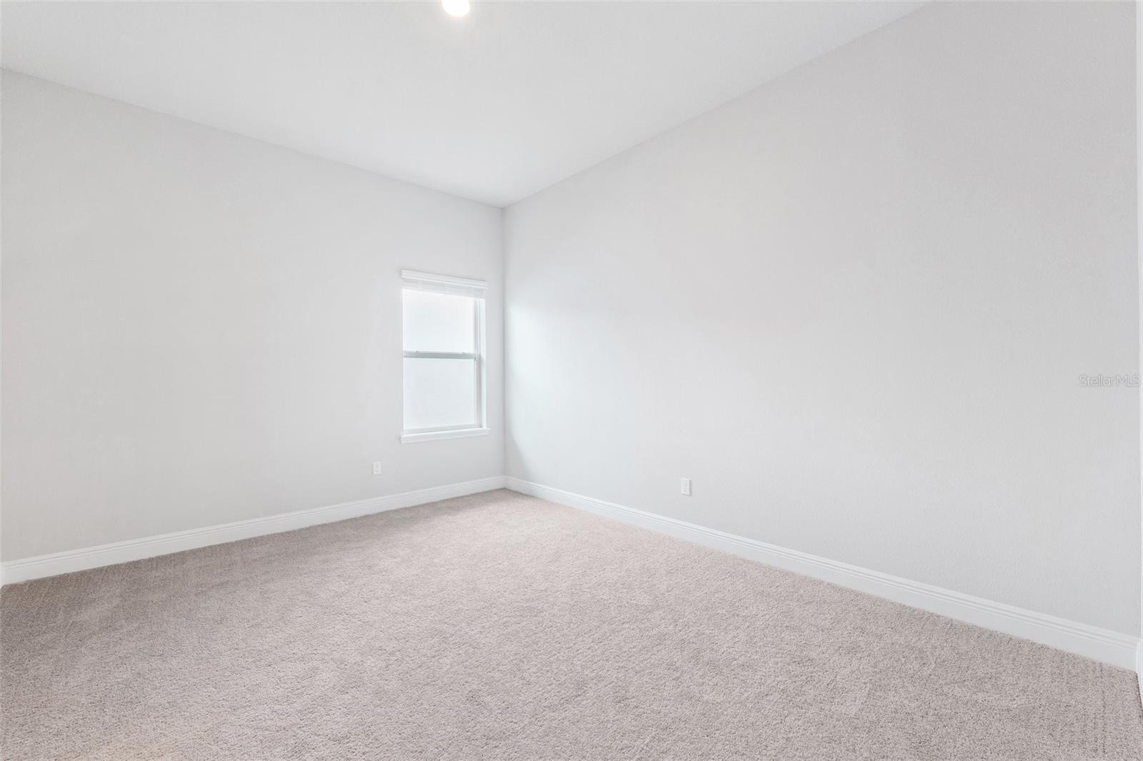 6035 NIKKI LN, ODESSA, FL, 33556