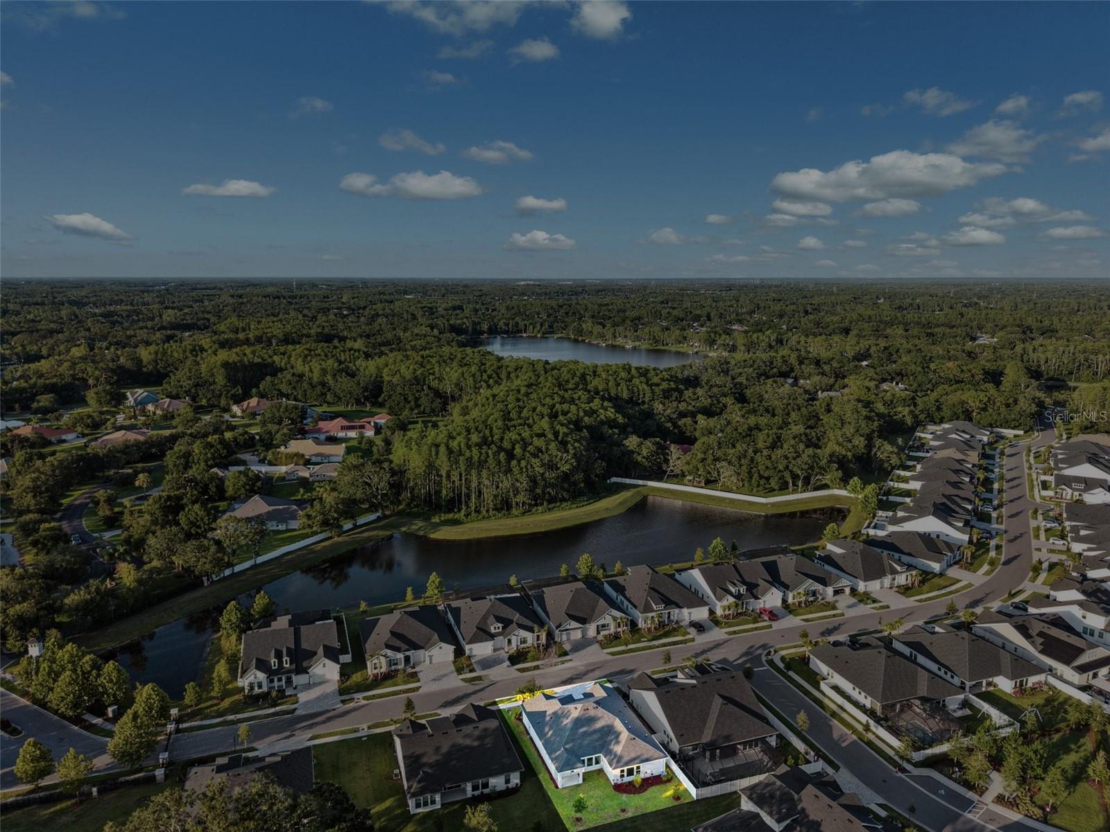 6035 NIKKI LN, ODESSA, FL, 33556