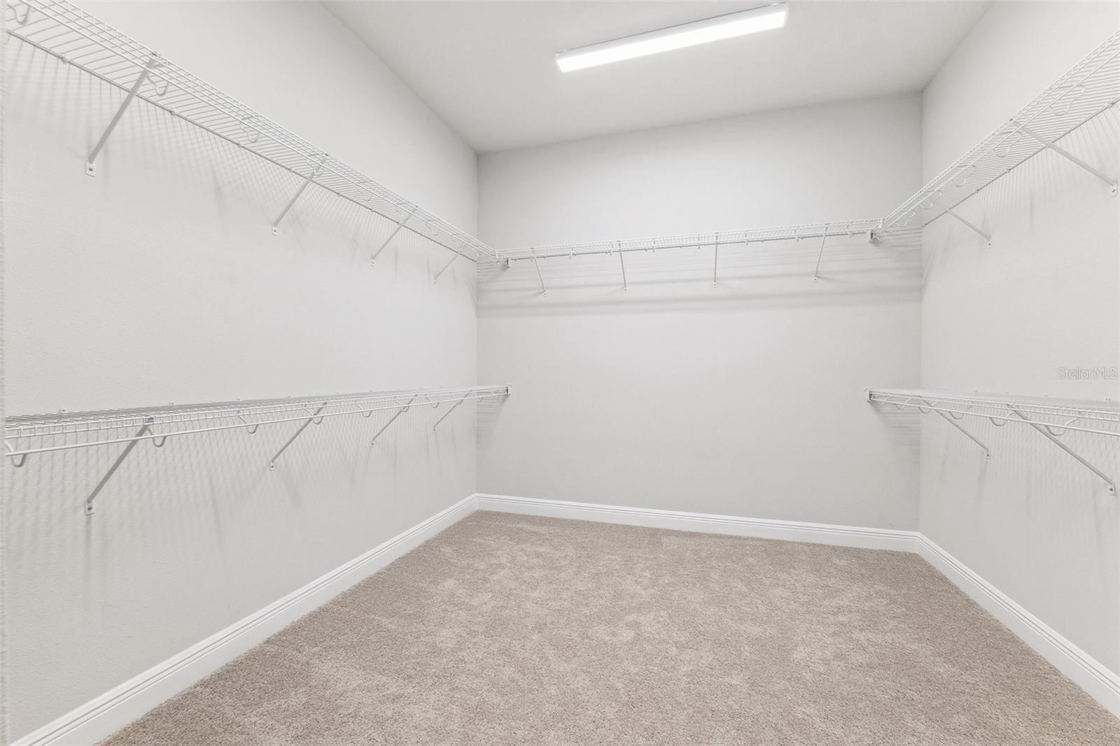 6035 NIKKI LN, ODESSA, FL, 33556