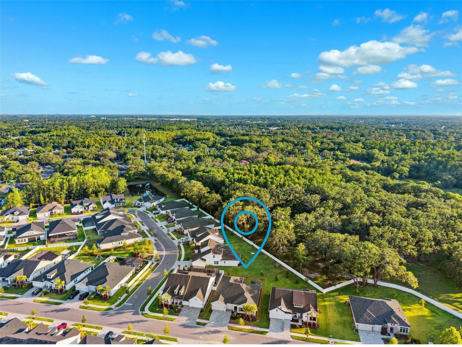 6035 NIKKI LN, ODESSA, FL, 33556