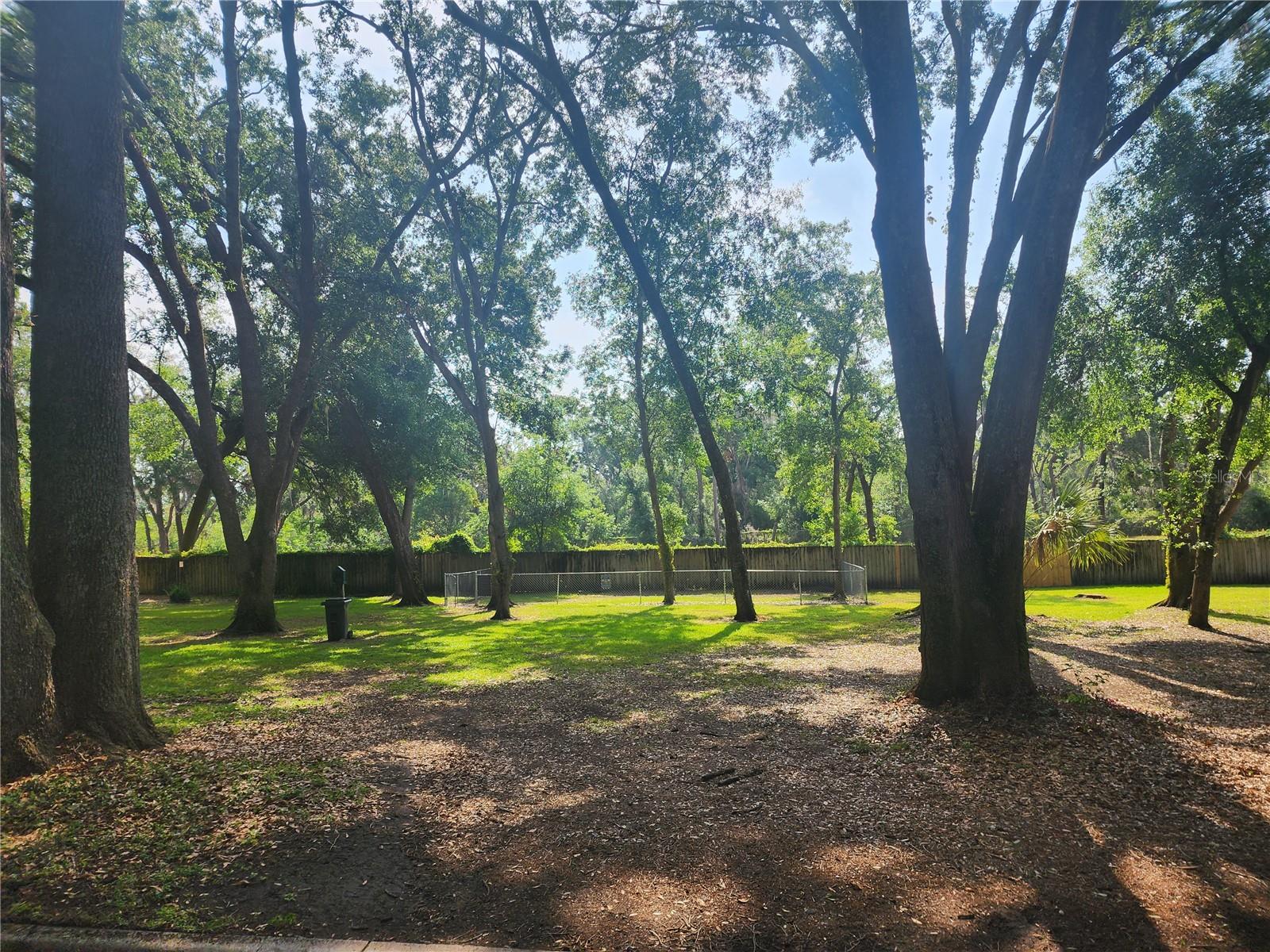 2247 GOLDEN OAK LN, VALRICO, FL, 33594