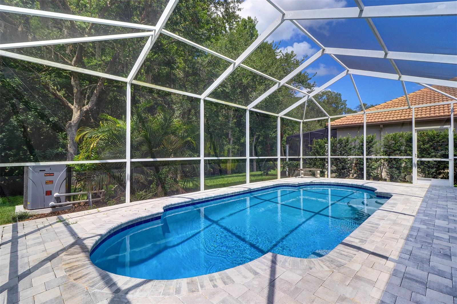 View of pool and conservation area to the rear of the residence