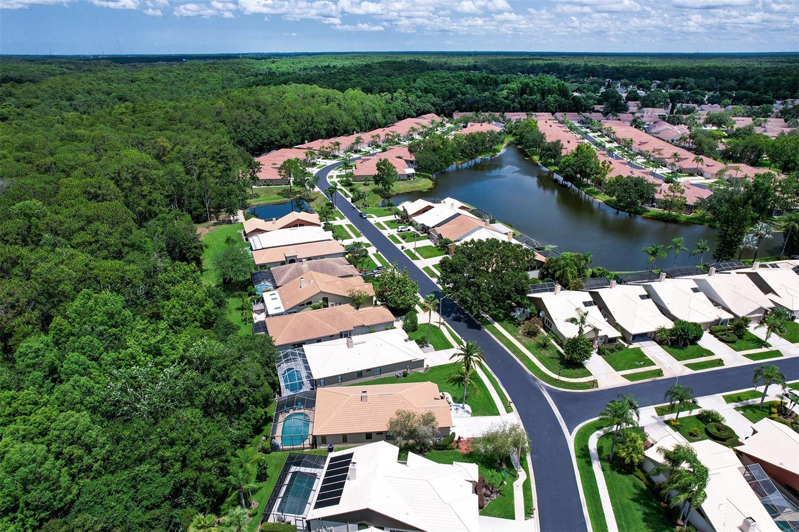 Aerial view of Darston Street and the conservation area
