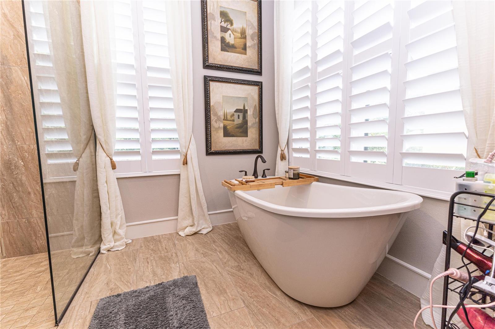 10592 WOODS DR, OXFORD, FL, 34484