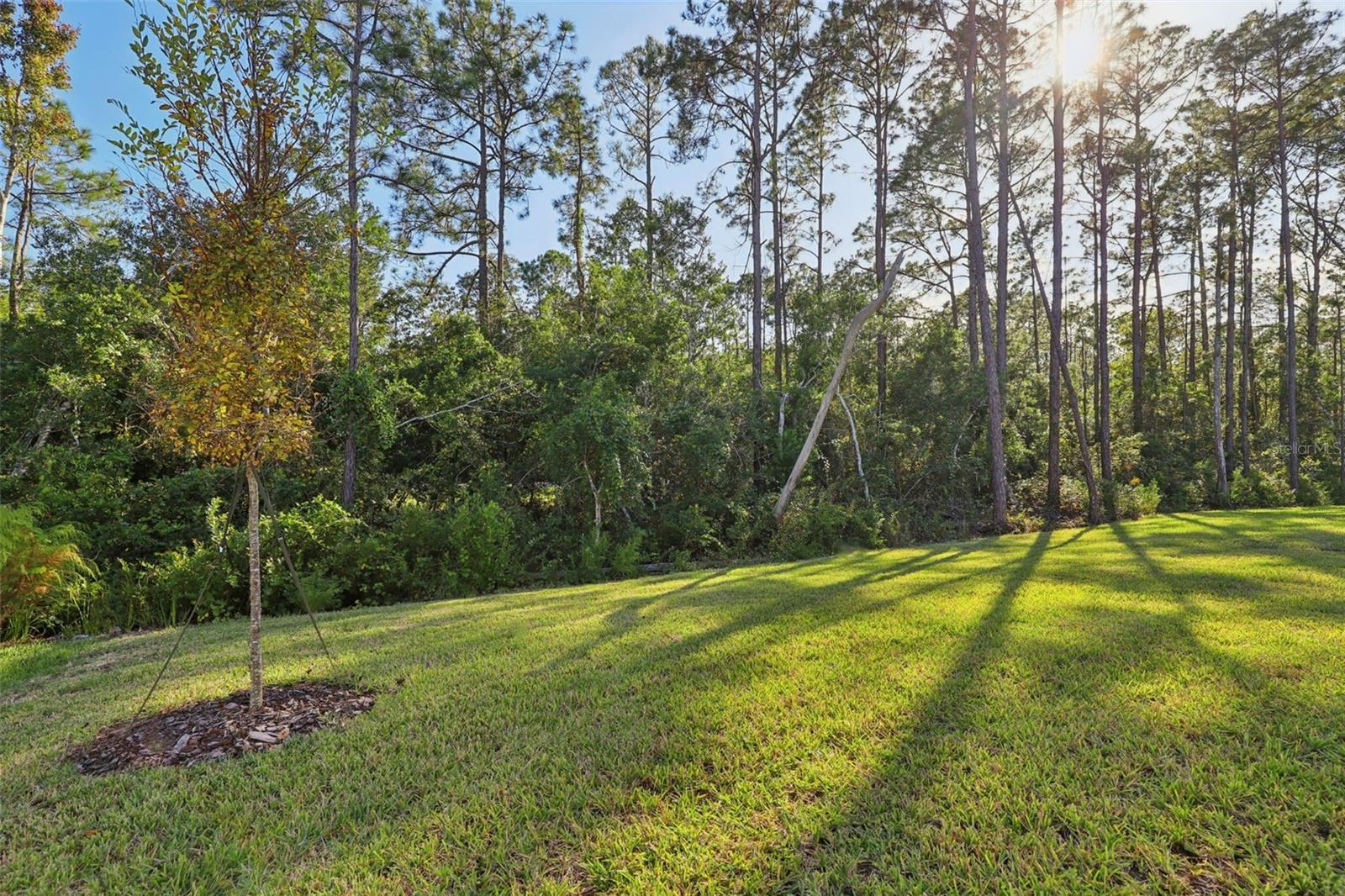 23 DILLY CT, PALM COAST, FL, 32164