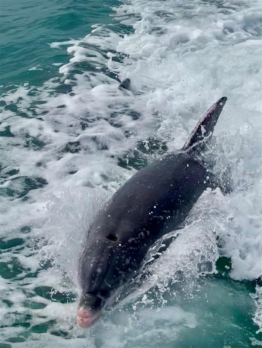 A4656774 Property Photo