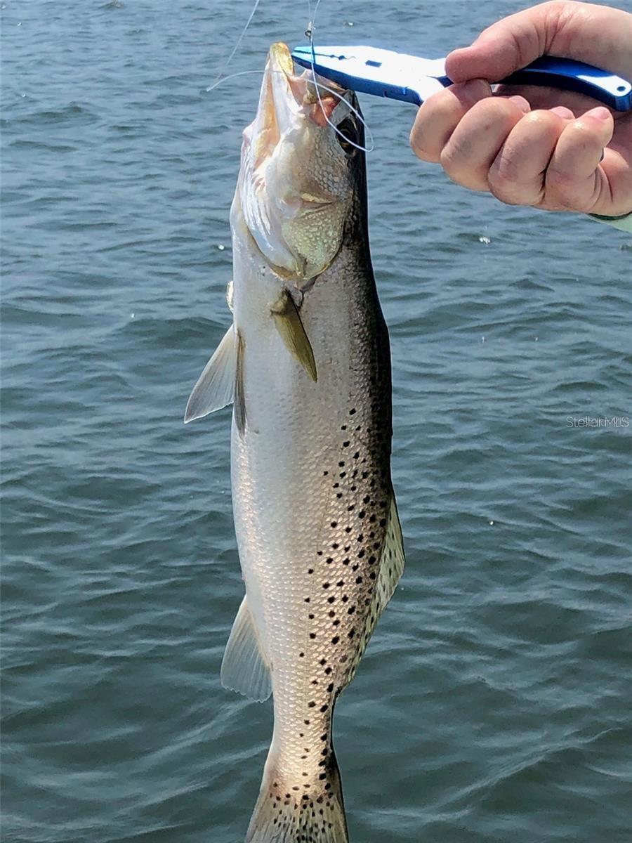 A4656774 Property Photo