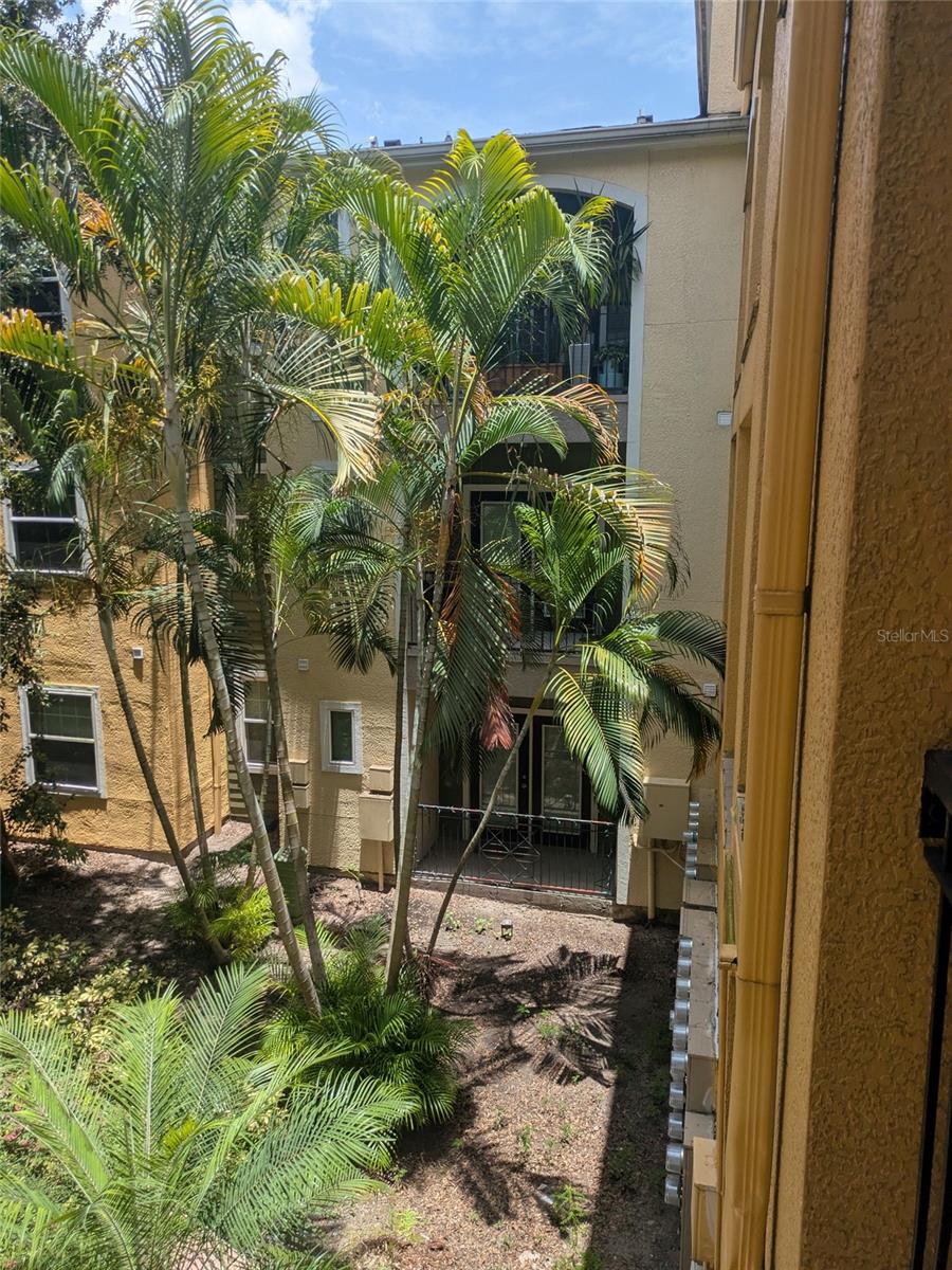 1910 E PALM AVE #8211, TAMPA, FL, 33605