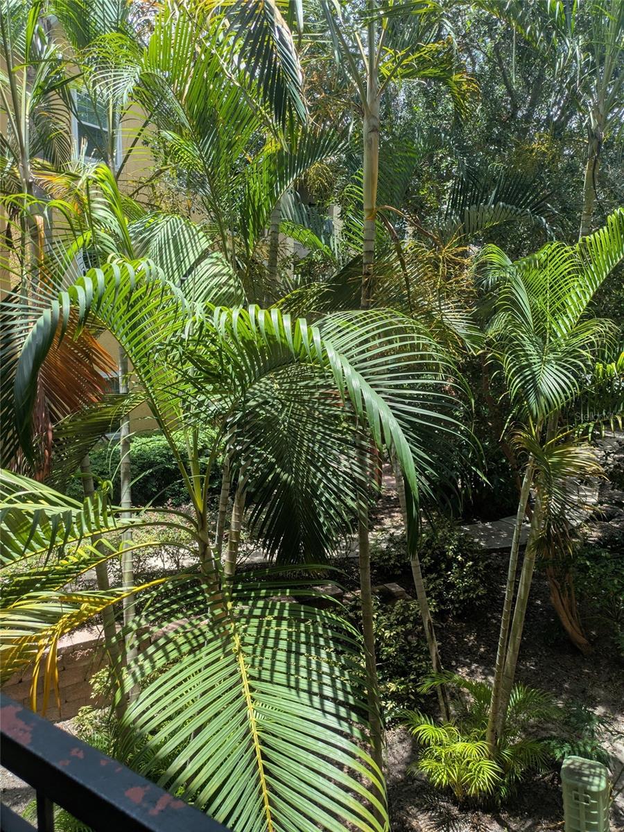 1910 E PALM AVE #8211, TAMPA, FL, 33605