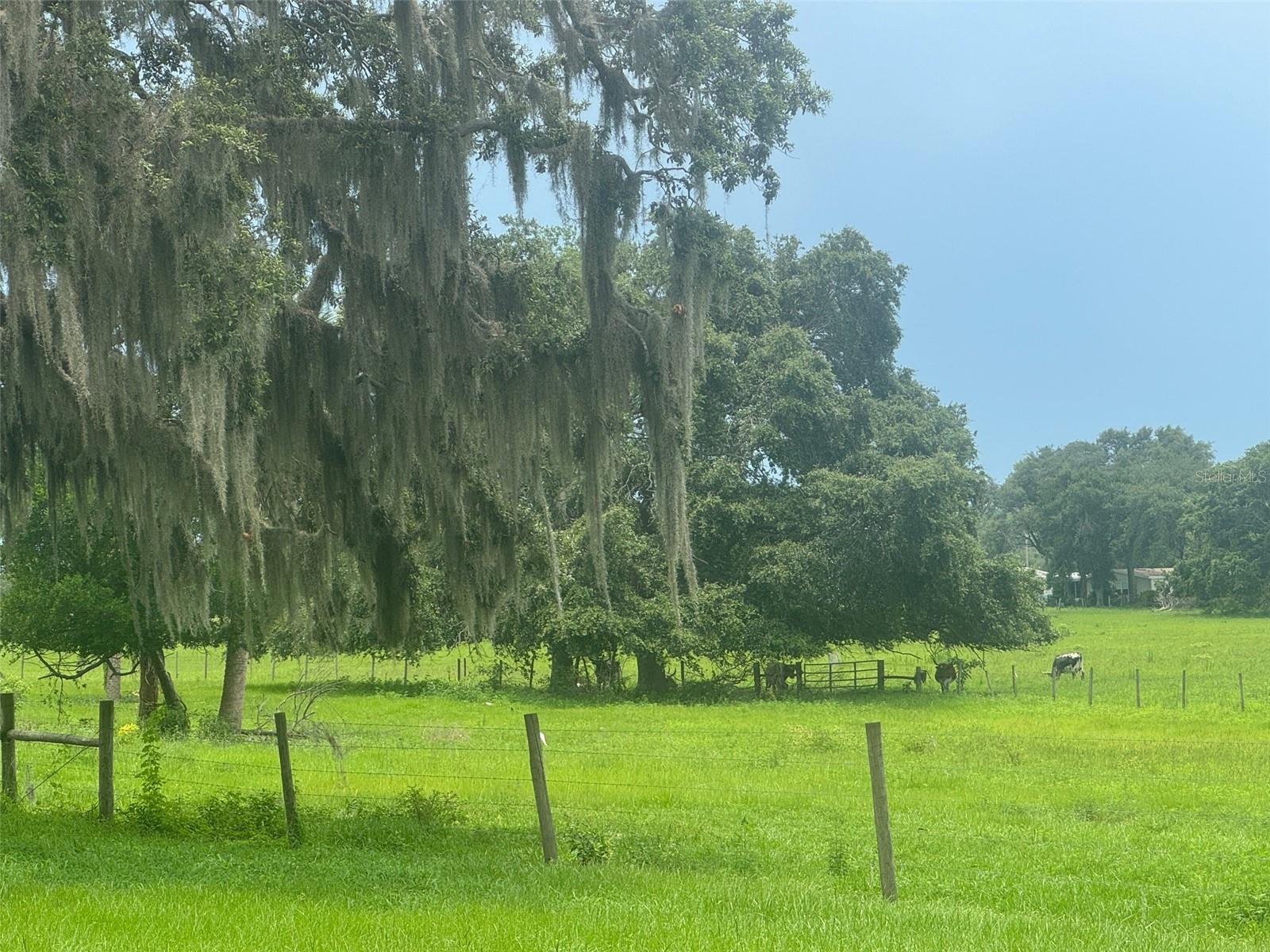 G5098717 Property Photo