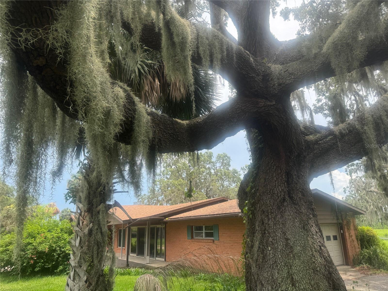 G5098717 Property Photo