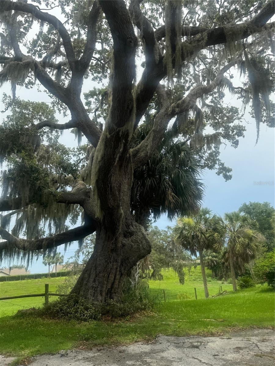 G5098717 Property Photo