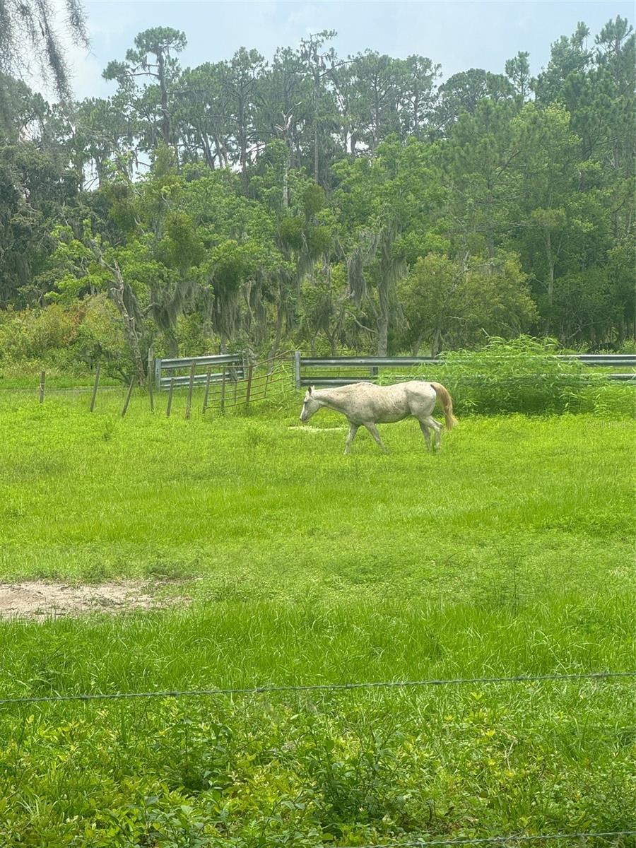 G5098717 Property Photo