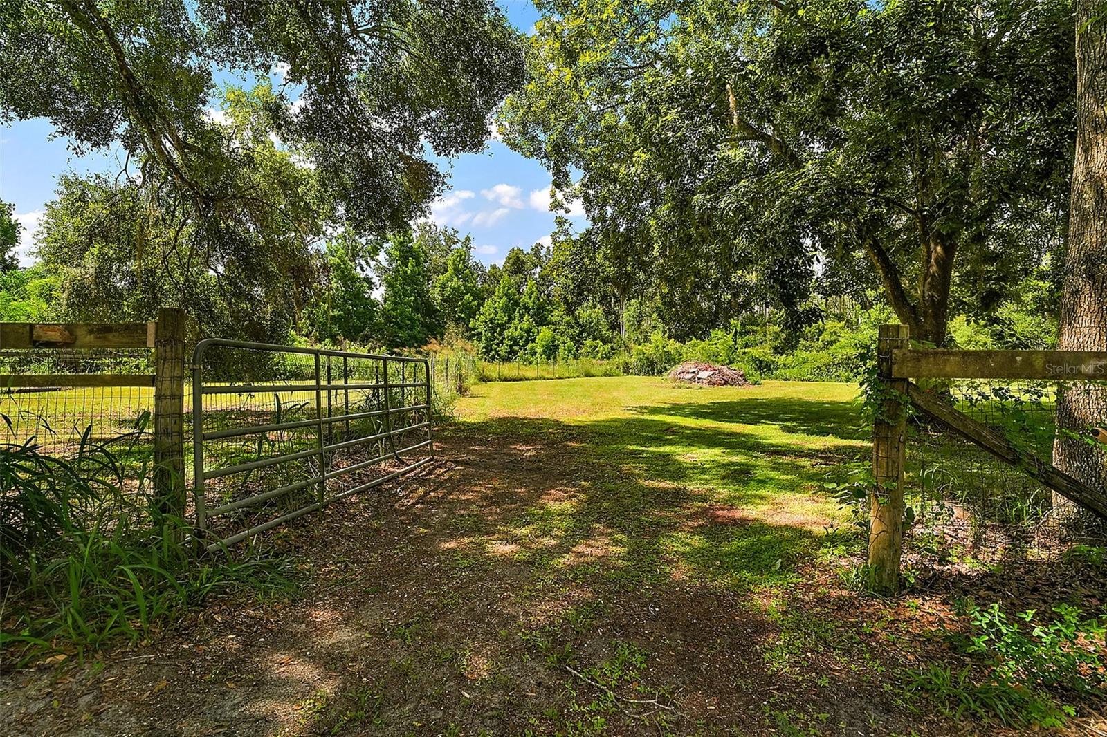 8024 FLORIDA BOYS RANCH RD, GROVELAND, FL, 34736