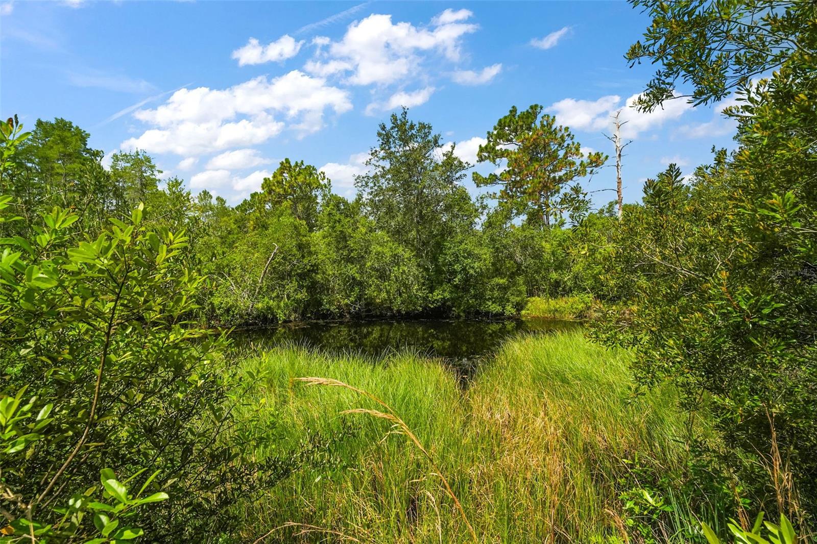 8024 FLORIDA BOYS RANCH RD, GROVELAND, FL, 34736