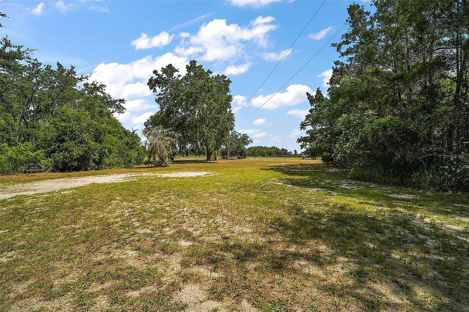 8024 FLORIDA BOYS RANCH RD, GROVELAND, FL, 34736