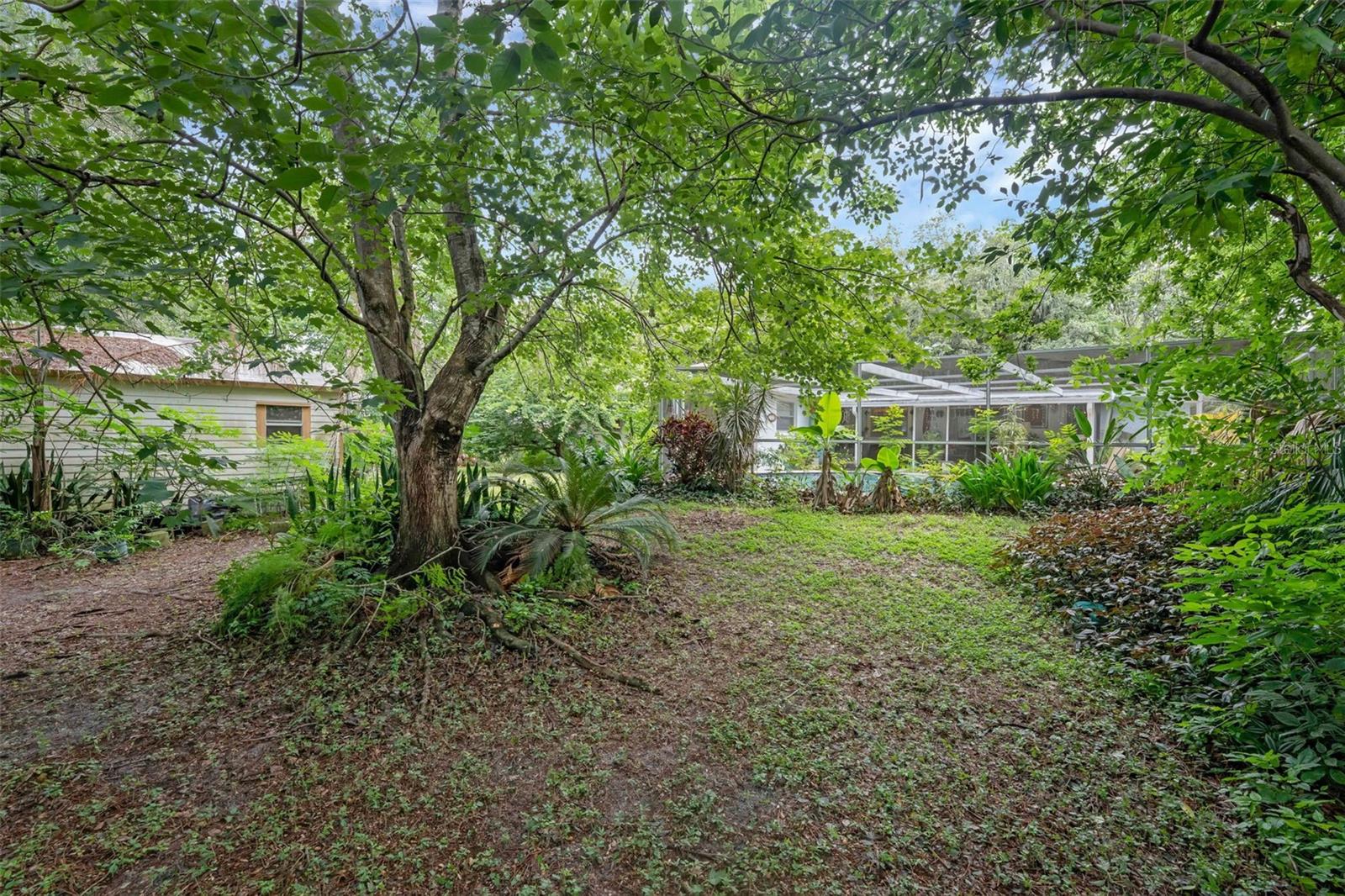 806 LEOPARD TRL, WINTER SPRINGS, FL, 32708