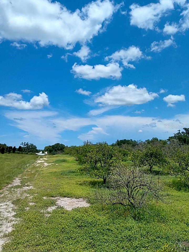 NO STREET, DE LEON SPRINGS, FL, 32130