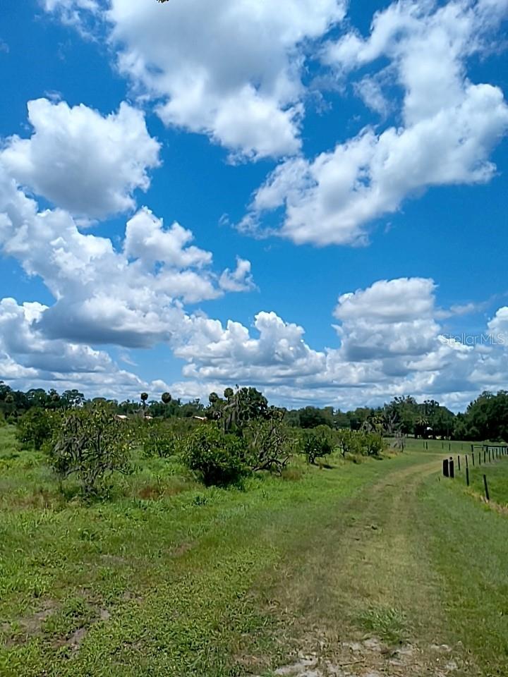 NO STREET, DE LEON SPRINGS, FL, 32130