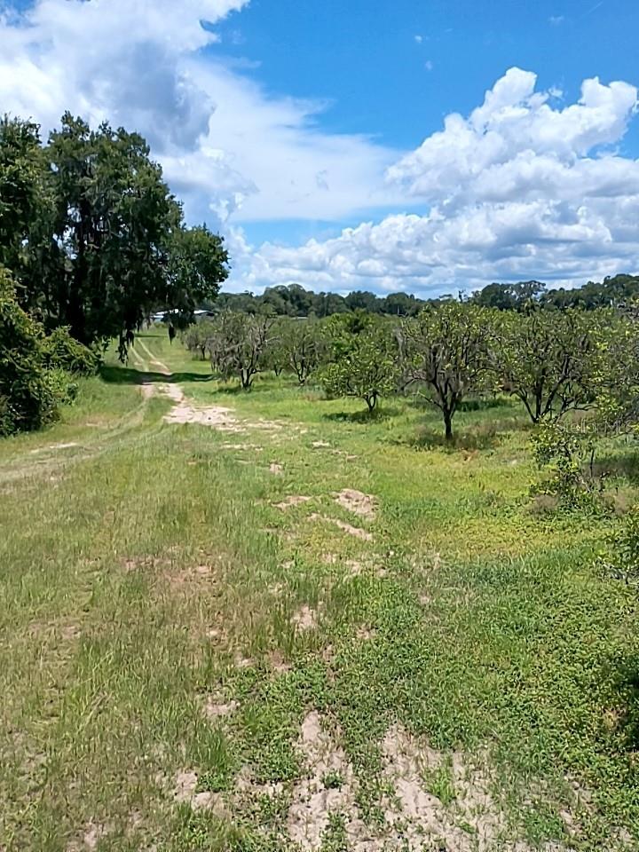 NO STREET, DE LEON SPRINGS, FL, 32130