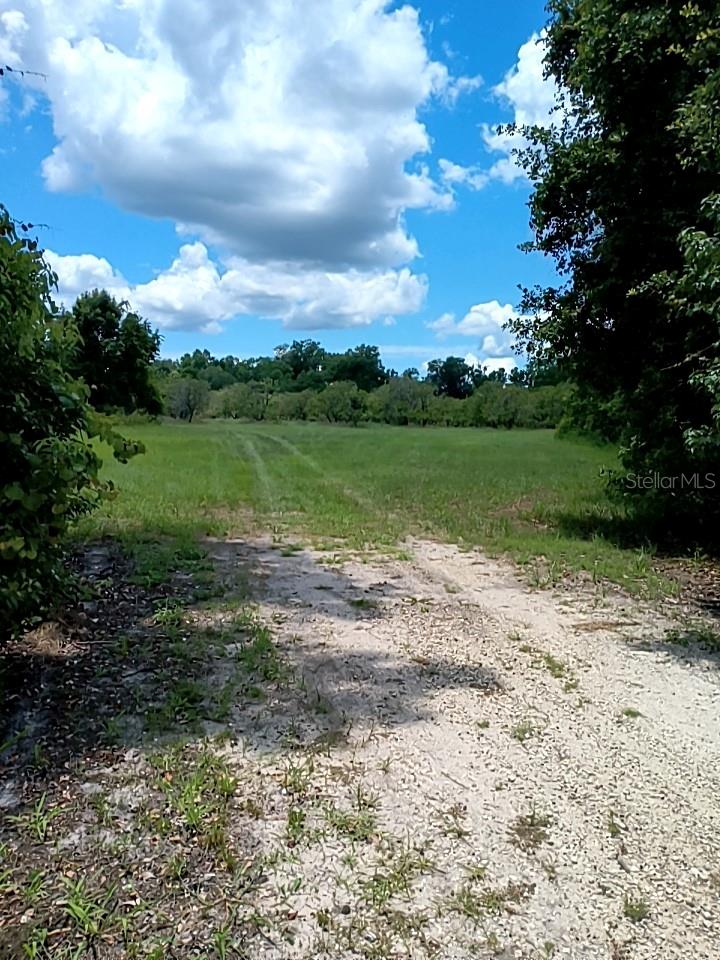 NO STREET, DE LEON SPRINGS, FL, 32130