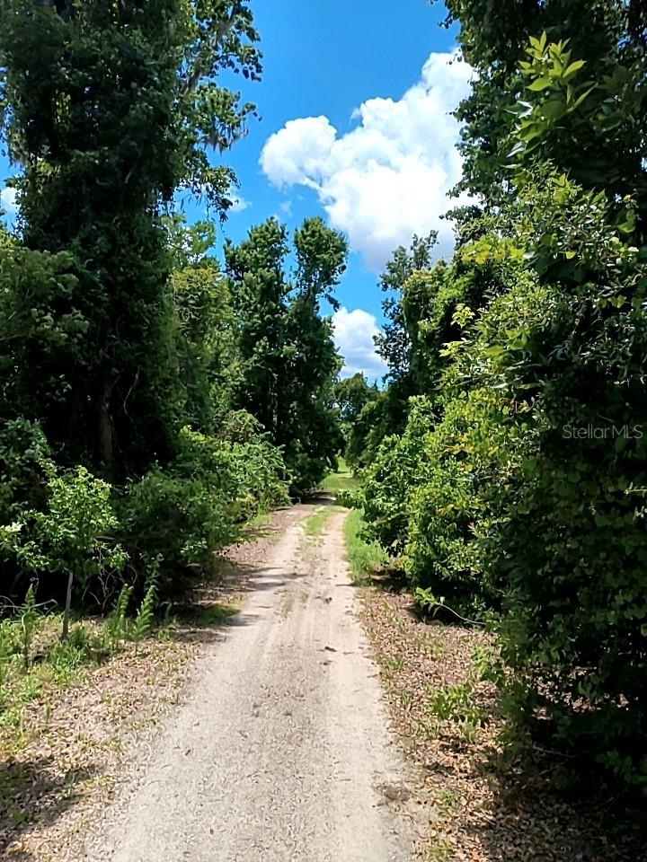 NO STREET, DE LEON SPRINGS, FL, 32130