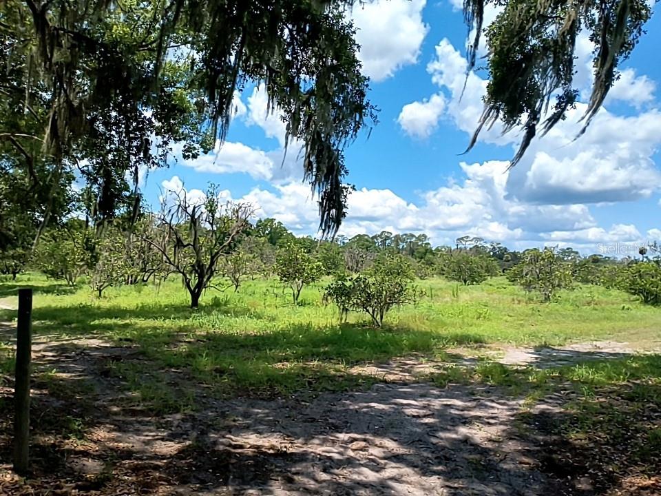 NO STREET, DE LEON SPRINGS, FL, 32130