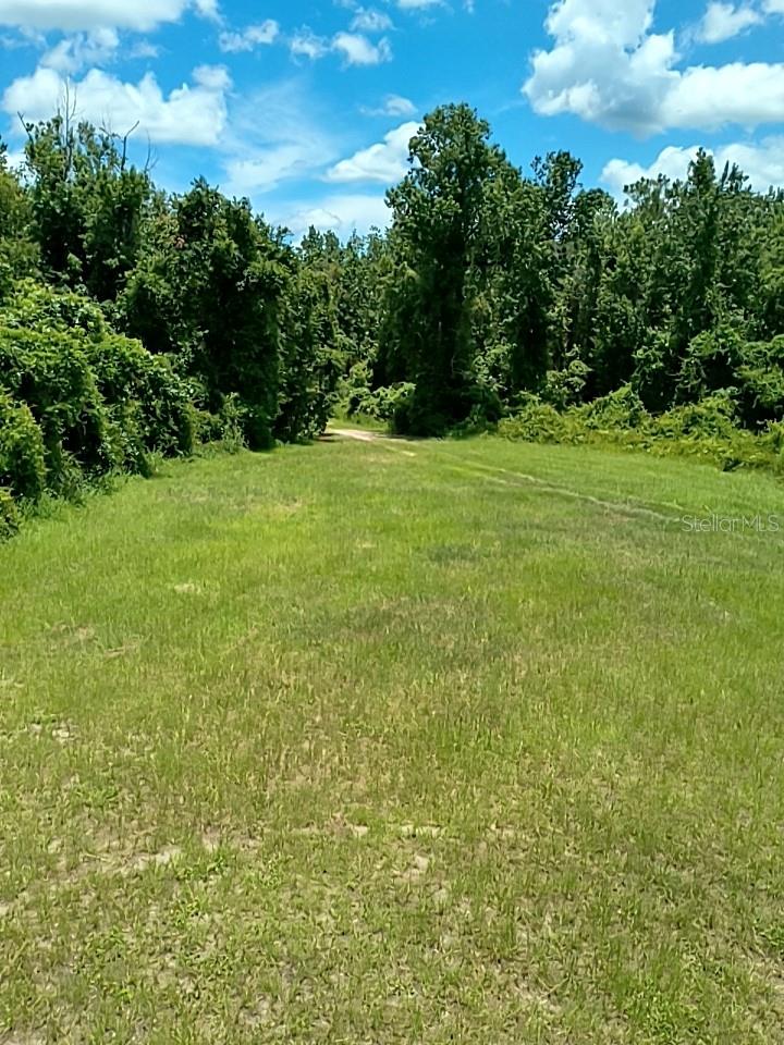 NO STREET, DE LEON SPRINGS, FL, 32130